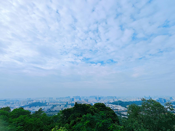 登山團建丨攜手共進  勇攀高峰